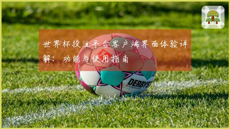 世界杯投注平台客户端界面体验详解：功能与使用指南