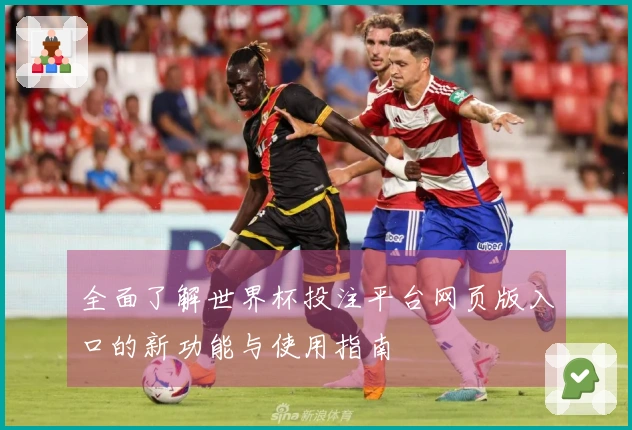 全面了解世界杯投注平台网页版入口的新功能与使用指南