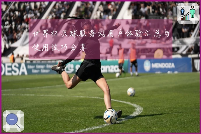 世界杯买球服务站用户体验汇总与使用技巧分享
