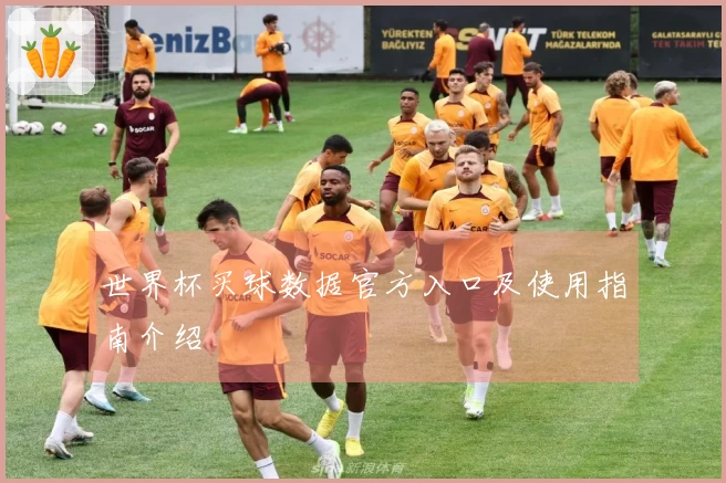 世界杯买球数据官方入口及使用指南介绍