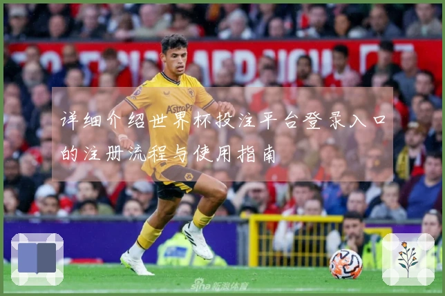 详细介绍世界杯投注平台登录入口的注册流程与使用指南