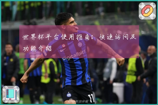 世界杯平台使用指南：快速访问及功能介绍
