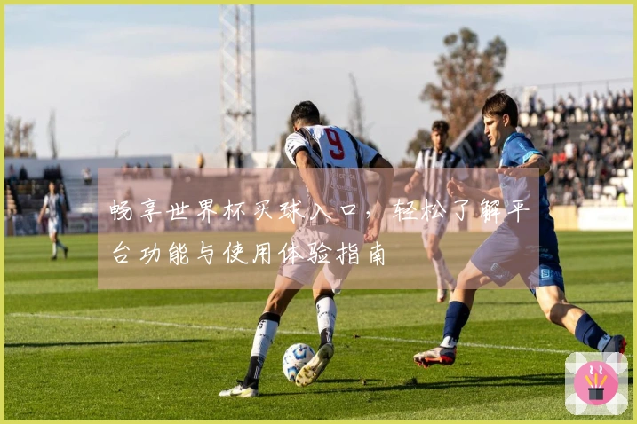 畅享世界杯买球入口，轻松了解平台功能与使用体验指南