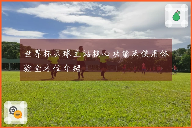 世界杯买球主站核心功能及使用体验全方位介绍