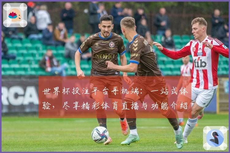 世界杯投注平台手机端：一站式体验，尽享精彩体育直播与功能介绍