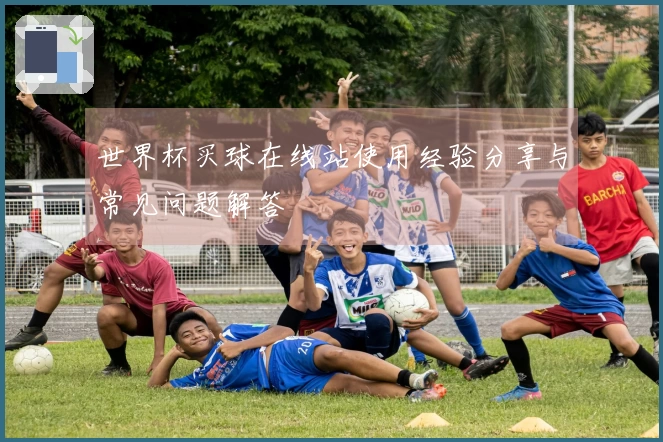 世界杯买球在线站使用经验分享与常见问题解答