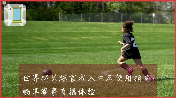 世界杯买球官方入口及使用指南，畅享赛事直播体验