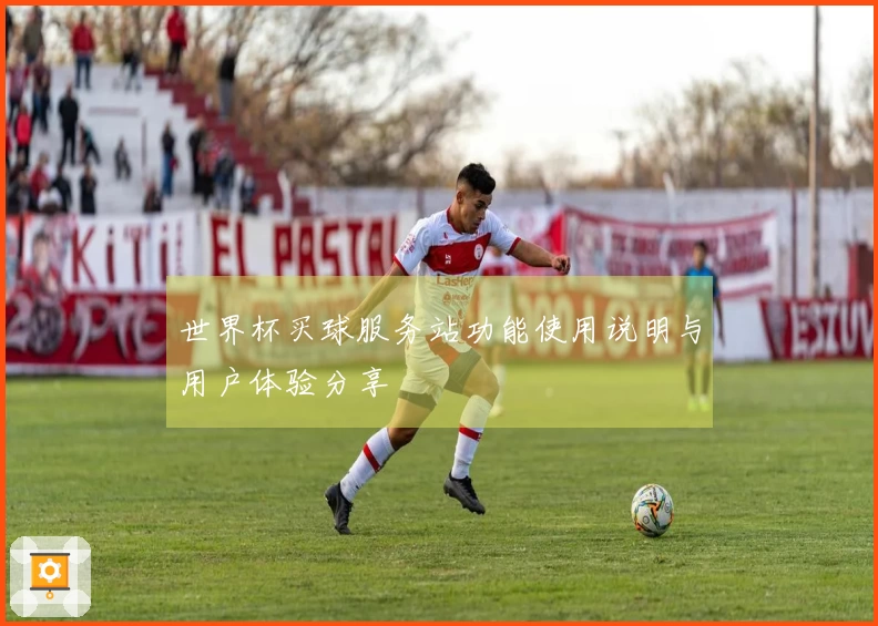 世界杯买球服务站功能使用说明与用户体验分享