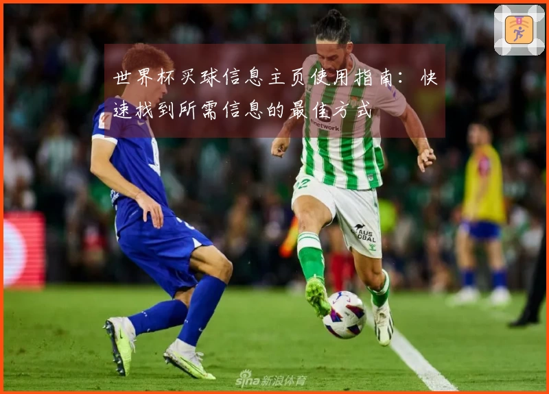世界杯买球信息主页使用指南：快速找到所需信息的最佳方式