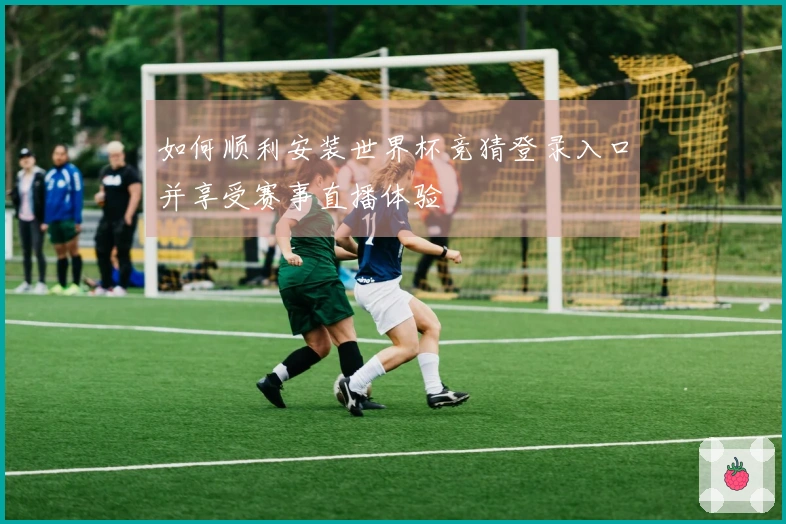 如何顺利安装世界杯竞猜登录入口并享受赛事直播体验