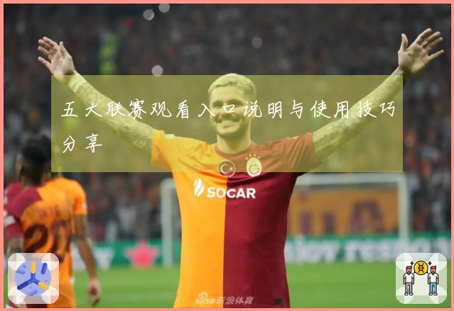 五大联赛观看入口说明与使用技巧分享