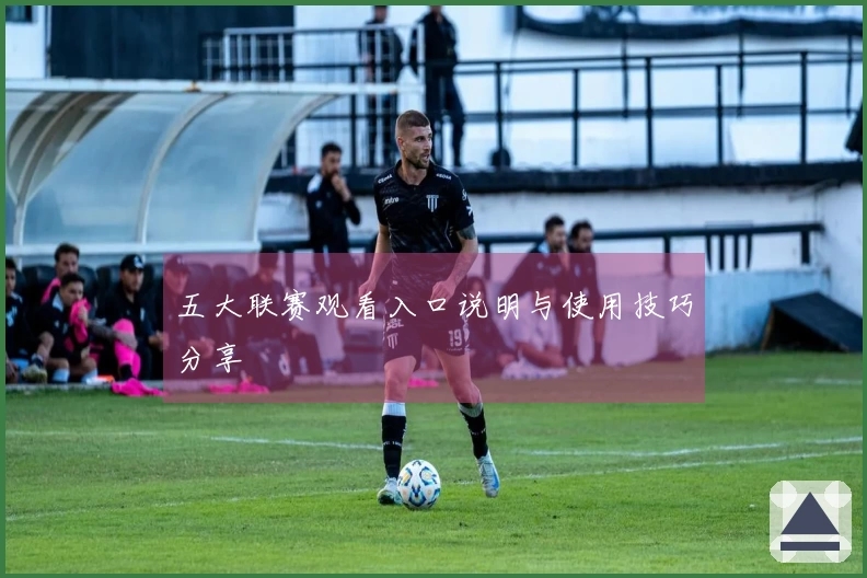 五大联赛观看入口说明与使用技巧分享