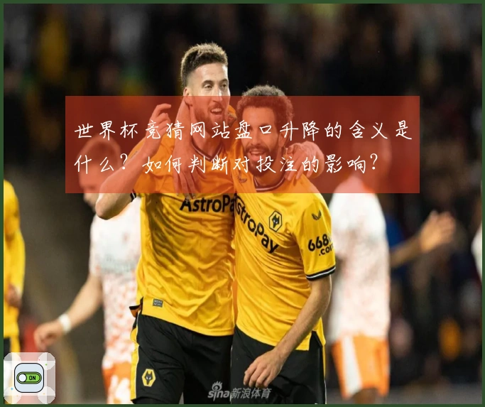 世界杯竞猜网站盘口升降的含义是什么？如何判断对投注的影响？