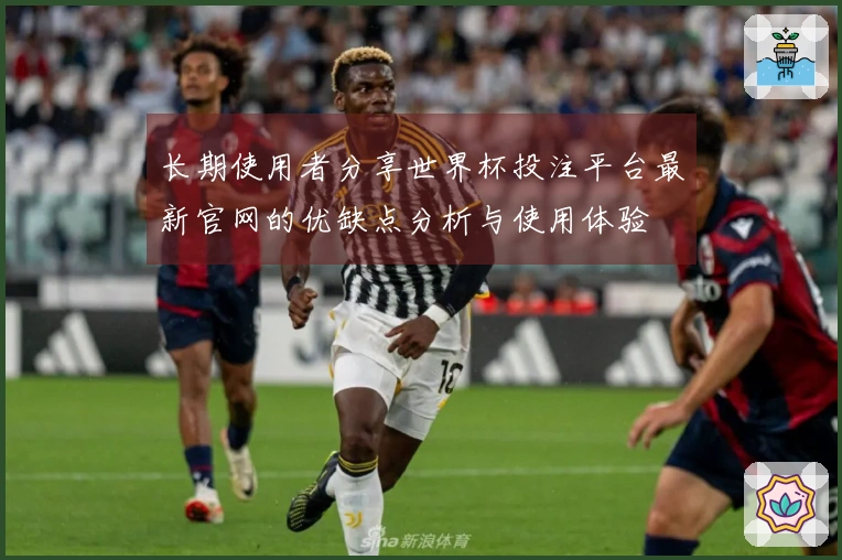 长期使用者分享世界杯投注平台最新官网的优缺点分析与使用体验