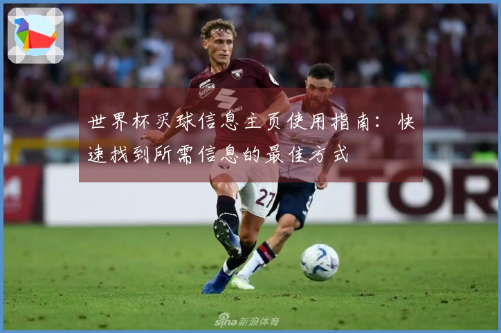 世界杯买球信息主页使用指南：快速找到所需信息的最佳方式