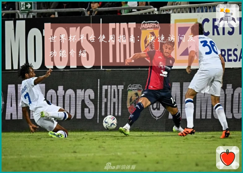 世界杯平台使用指南：快速访问及功能介绍