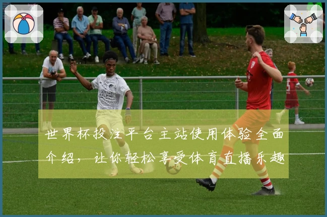 世界杯投注平台主站使用体验全面介绍，让你轻松享受体育直播乐趣